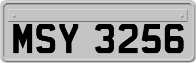 MSY3256