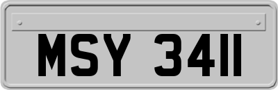 MSY3411