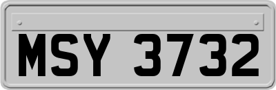 MSY3732
