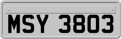 MSY3803