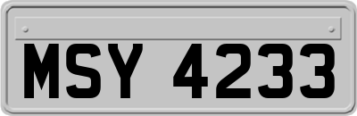 MSY4233
