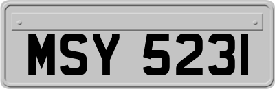 MSY5231