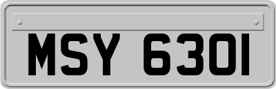 MSY6301