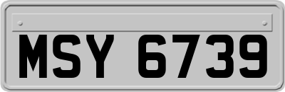 MSY6739