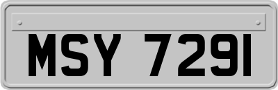 MSY7291