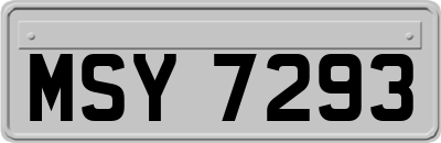 MSY7293