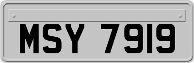 MSY7919