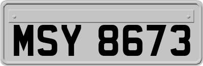 MSY8673
