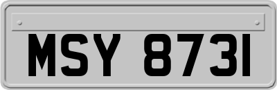 MSY8731