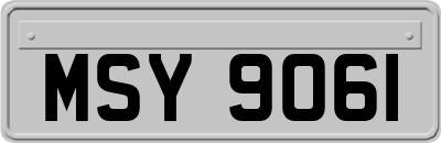 MSY9061