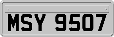 MSY9507