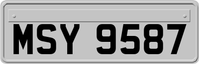 MSY9587