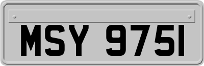 MSY9751