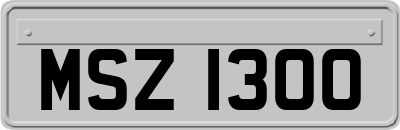 MSZ1300