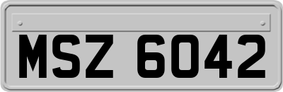 MSZ6042