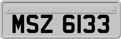 MSZ6133