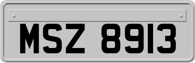 MSZ8913