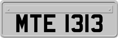 MTE1313