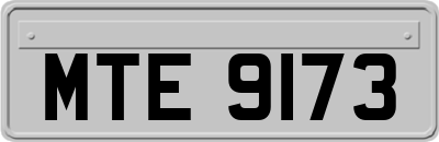 MTE9173