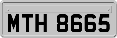 MTH8665