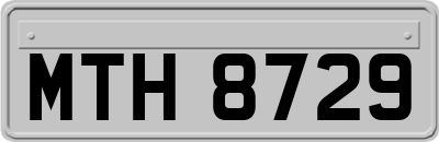 MTH8729