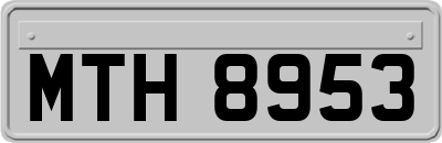 MTH8953