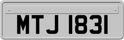MTJ1831