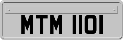 MTM1101