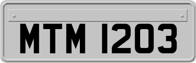 MTM1203