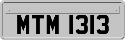 MTM1313