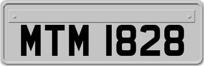 MTM1828