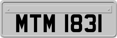 MTM1831