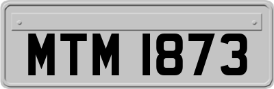 MTM1873