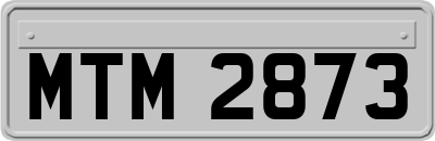MTM2873