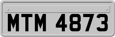 MTM4873