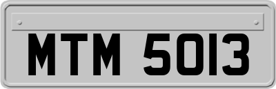 MTM5013