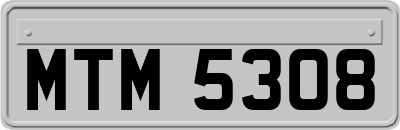 MTM5308