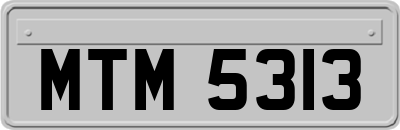MTM5313