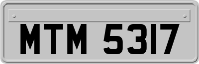MTM5317