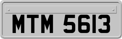 MTM5613