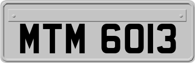 MTM6013