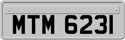 MTM6231
