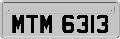 MTM6313