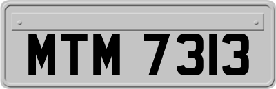 MTM7313