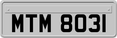 MTM8031