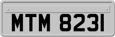MTM8231