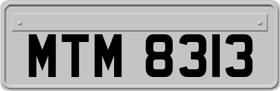 MTM8313