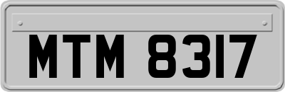 MTM8317