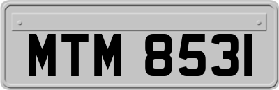 MTM8531