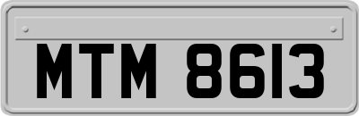 MTM8613